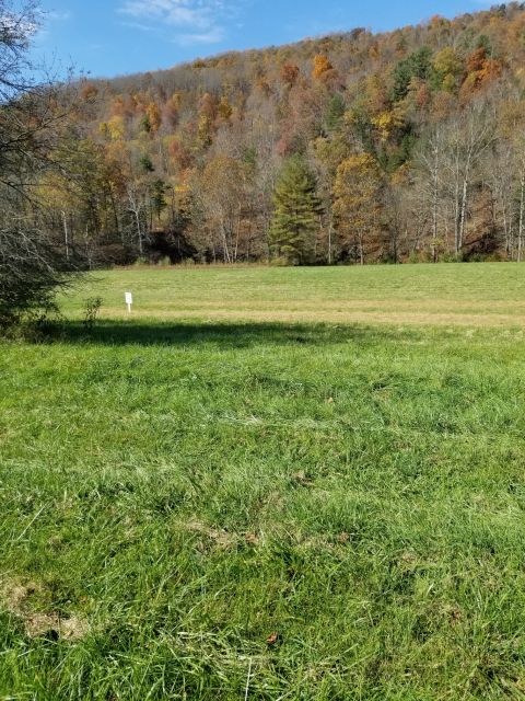 Riverfront Land Auction Friday November 20th