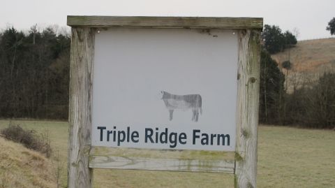 Absolute Trustee Auction : Triple Ridge Farm